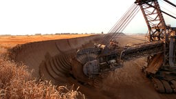 Ein Braunkohlebagger trägt mit seiner riesigen Schaufel einen Hang ab, auf dessen Kuppe Getreide wächst