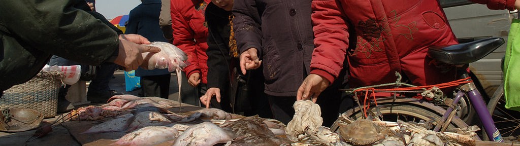 Japaner bei Einkauf auf dem Fischmarkt