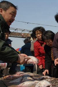 Japaner bei Einkauf auf dem Fischmarkt