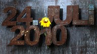 Eine Sonnenblume hängt am Denkmal an der Loveparade-Unglücksstelle