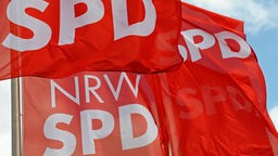 Das Logo der SPD auf einem roten Würfel