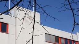 Verblasstes Envio-Emblem auf dem ehemaligen Verwaltungsgebäude in Dortmund, im Vordergrund Äste