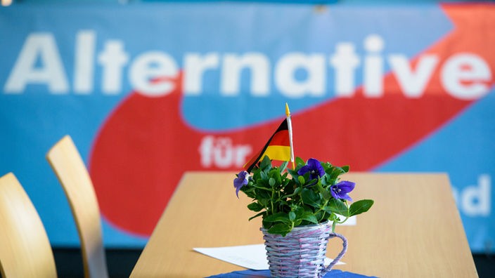 Ein Blumentopf mit einer Deutschlandfahne auf einem Tisch vor AfD-Logo