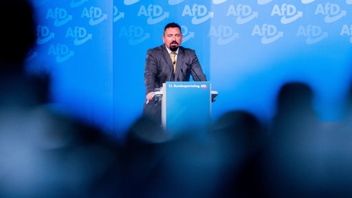 Der AfD-Politiker Dubravko Mandic spricht beim AfD-Bundesparteitag am 29.11.2020.
