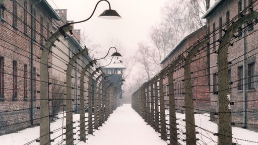 Das Konzentrationslager Auschwitz