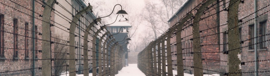 Das Konzentrationslager Auschwitz