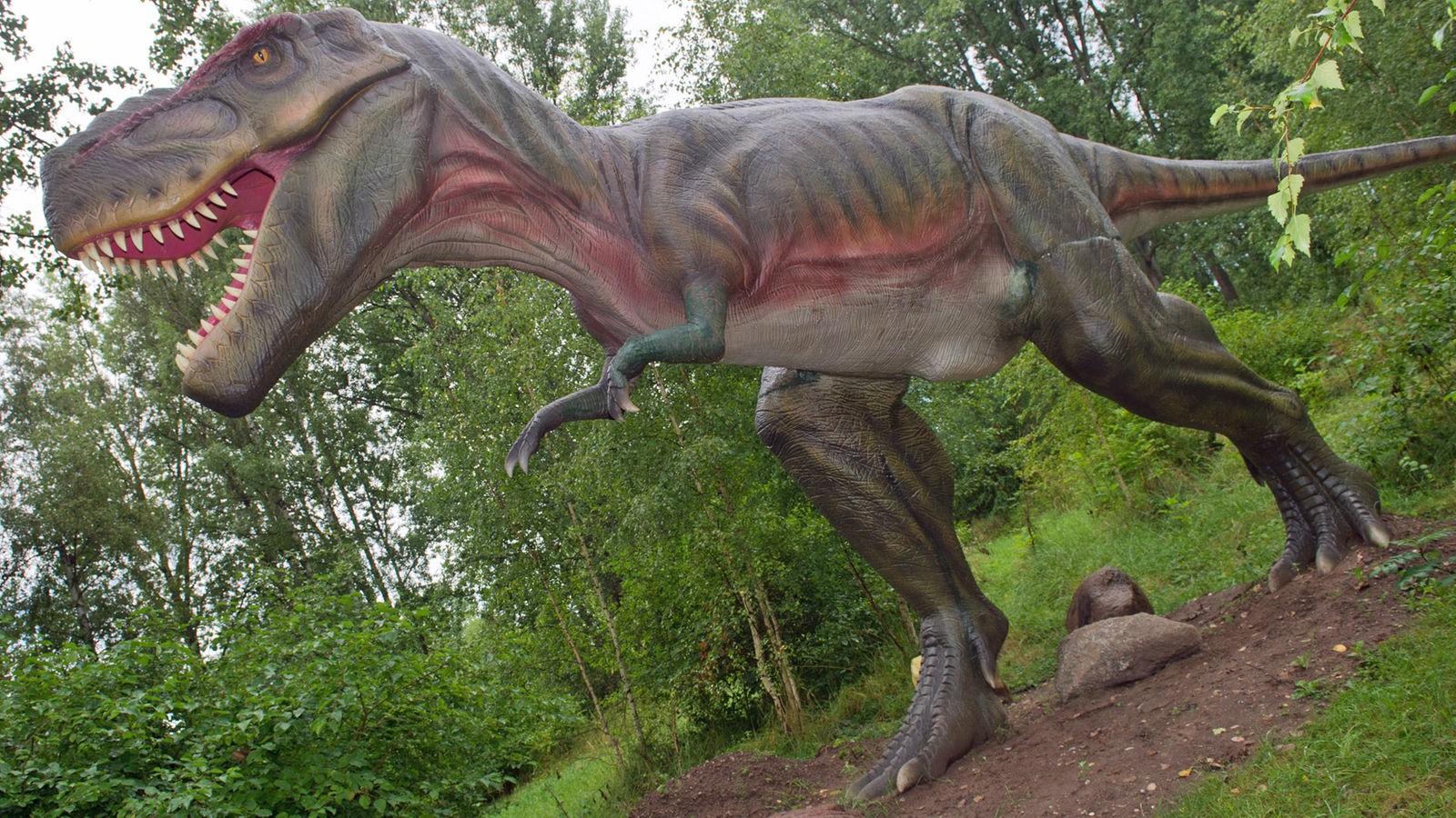 Urzeit: Dinosaurier  Urzeit  Geschichte  Planet Wissen