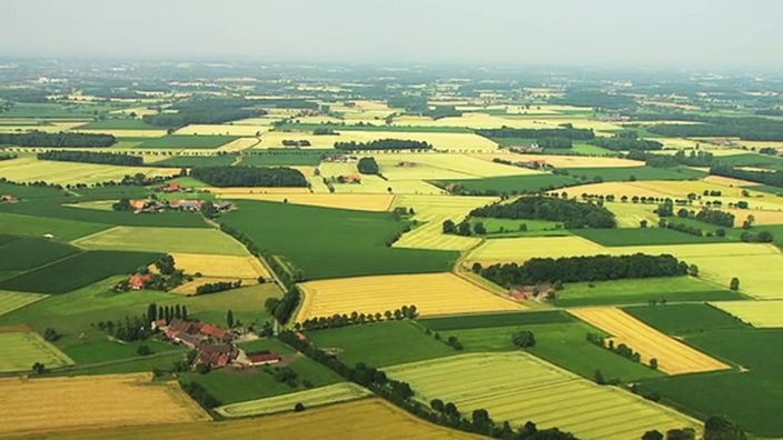 Luftbild von Kornfeldern im Münsterland