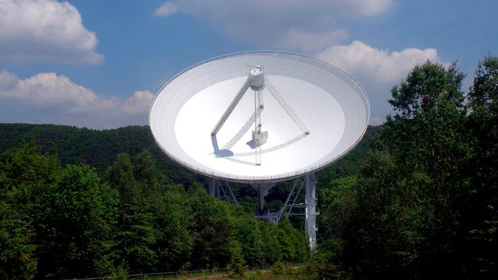Radioteleskop im Wald
