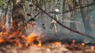 Eine Einsatzkraft der Feuerwehr beim Löschen eines Waldbrandes 