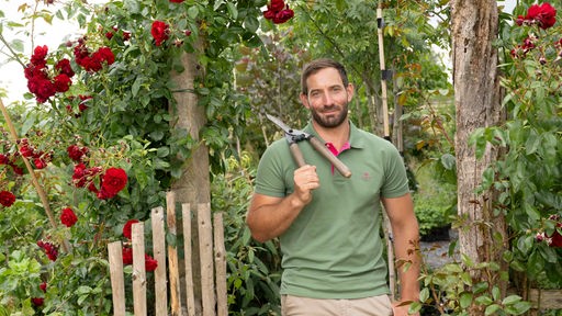  Uli Schauerte in seinem Garten unter einem Rosenbogen. 