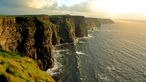 Heringe werden vor der Küste Irlands beerdigt