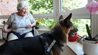 Ein Therapiehund sitzt neben einer alten Frau im Rollstuhl