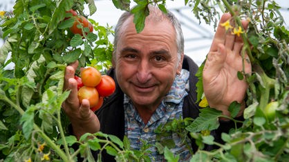 Gregor Keller inmitten von roten Tomaten
