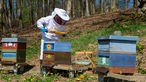 Mark Junglas im Imkernanzug vor Bienenkästen