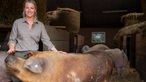 Theresa Cossmann mit Zuchtbulle im Stall