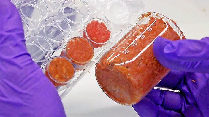 Künstliches Fleisch im Labor