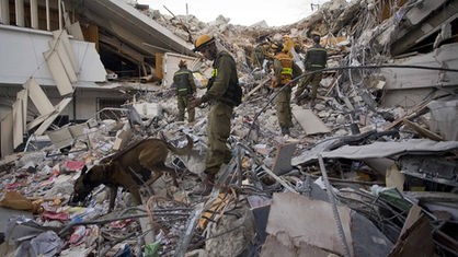 Rettungskräfte suchen mit Spürhunden in den Trümmern nach Überlebenden
