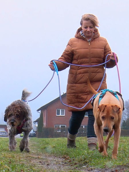 Daniela Teschner geht mit ihren Hunden spazieren