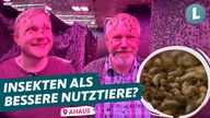 Landwirt Bernd Holters aus Ahaus schaut sich eine Insektenfarm an