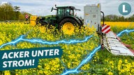 Ein Traktor mit Anhänger fährt über ein Feld mit gelbblühenden Pflanzen, blaue Stromwellen gehen von dem Traktor aus (Bildbearbeitung), unten links im Bild steht der Schriftzug "Acker unter Strom"