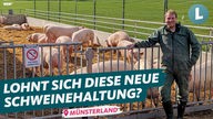 Landwirt Michael Hörstmann steht draußen vor Schweinen in einem Stall in Sassenberg.