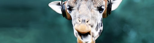 Symbolbild WDR Feature-Depot: Eine Giraffe trägt einen Kopfhörer