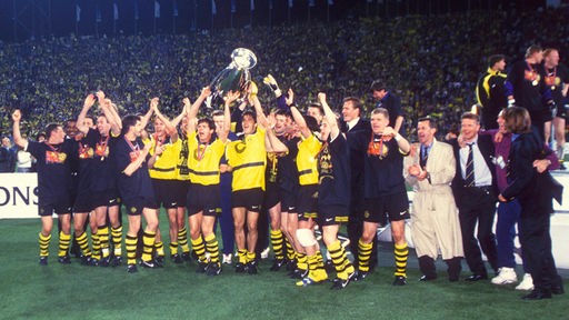 Gelb-Schwarz gekleidetet Fußballspieler halten gemeinsam einen Pokal hoch und freuen sich