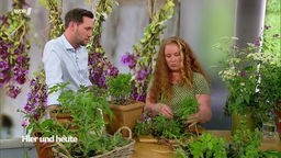 Tipps für Pflanzen mit Naturgartengestalterin Sasha Sohn