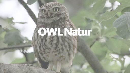 Teaser OWL natur - Lokalzeit Köln