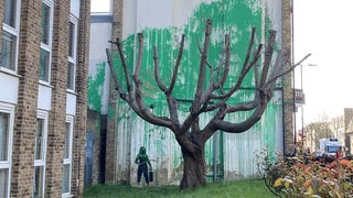 Auf eine Hauswand in der Hornsey Road in Finsbury Park, einem Stadtteil von London, wurde in großes Bild gemalt. Das Bild wurde hinter einen stark beschnittenen Baum gemalt und vermittelt den Eindruck, als würde der Baum Blätter tragen.
