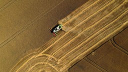 Eine Luftaufnahme zeigt einen Mähdrescher, der auf einem Feld Getreide erntet