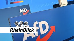 Logo der AfD auf dem Bundesparteitag in Magdeburg