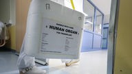 Ein Styropor-Behälter zum Transport von zur Transplantation vorgesehenen Organen 