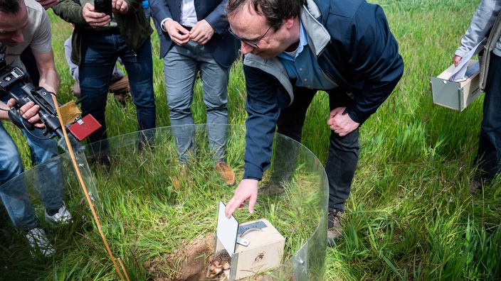 NRW-Umweltminister Oliver Krischer wildert einen Hamster aus.