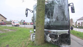 Auf dem Foto ist ein Bus, der in einen Baum gekracht ist. Die Front ist komplett zerstört.