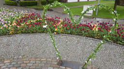 Efeuumranktes, herzförmiges Blumenspalier vor einem bunten Tulpenfeld im Maximilianpark in Hamm. 
