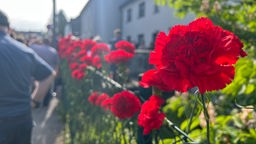 Blumen sind an den Zaun des Anschlagsorts in Solingen gesteckt