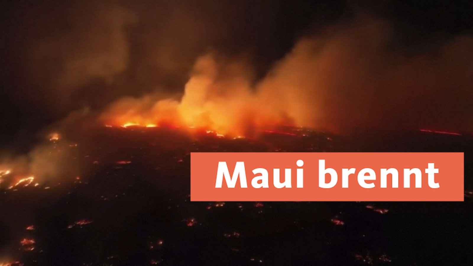 Waldbr Nde Auf Hawaii Insel Maui Sv Mediathek Wdr