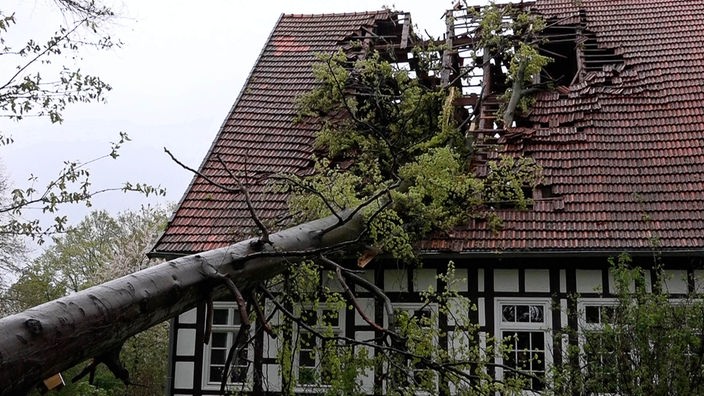 In Lotte wurde das Dach eines Fachwerkhauses durch einen umgekippten Baum beschädigt.