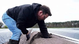 Landwirt Kai Steinkröger gräbt in der Erde nach Spargel