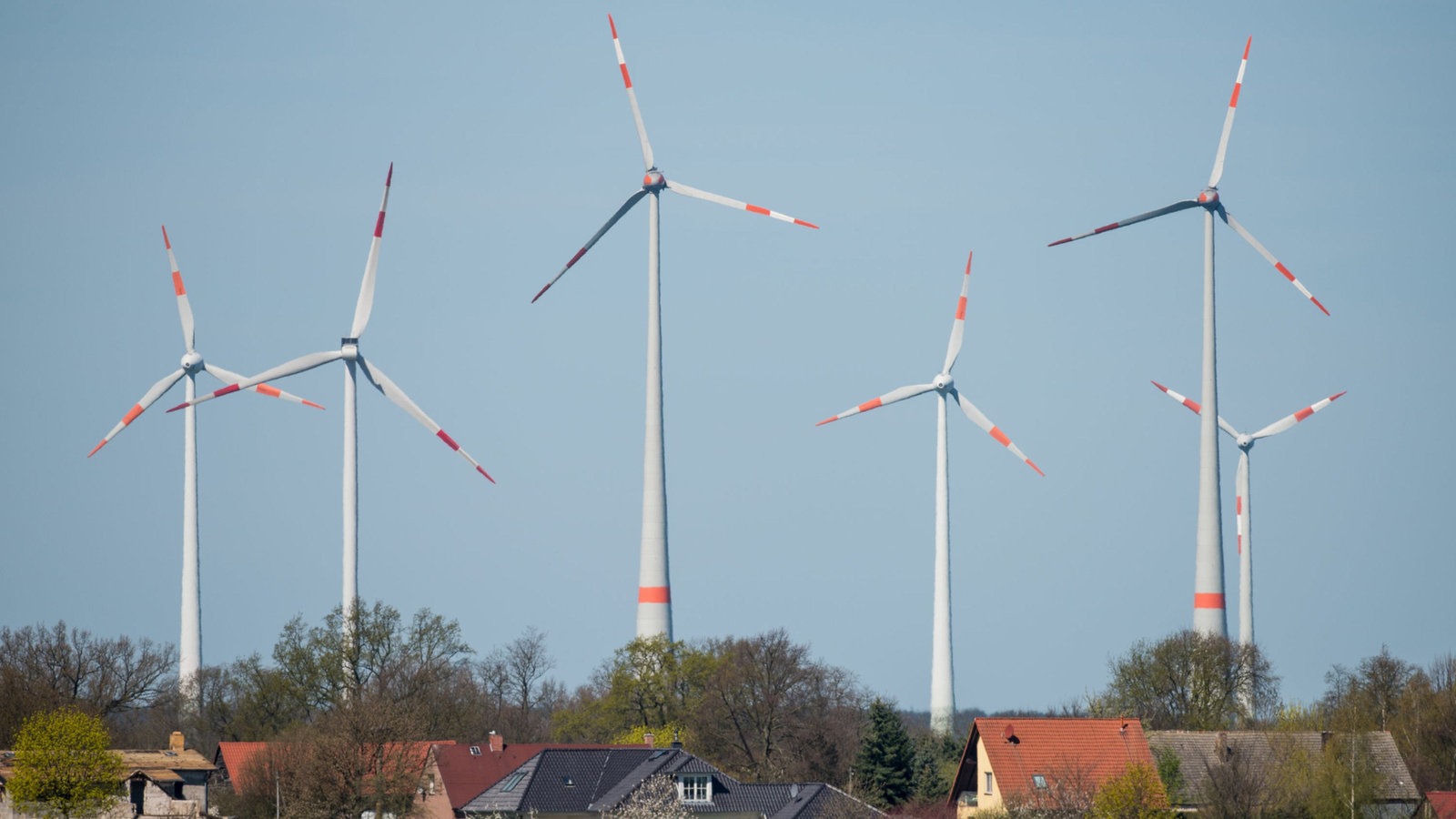 Widerstand Gegen Windr Der W Chst Westfalen Lippe Nachrichten Wdr