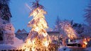 Ein Tannenbaum mit Lichterkette ist mit Schnee bedeckt.