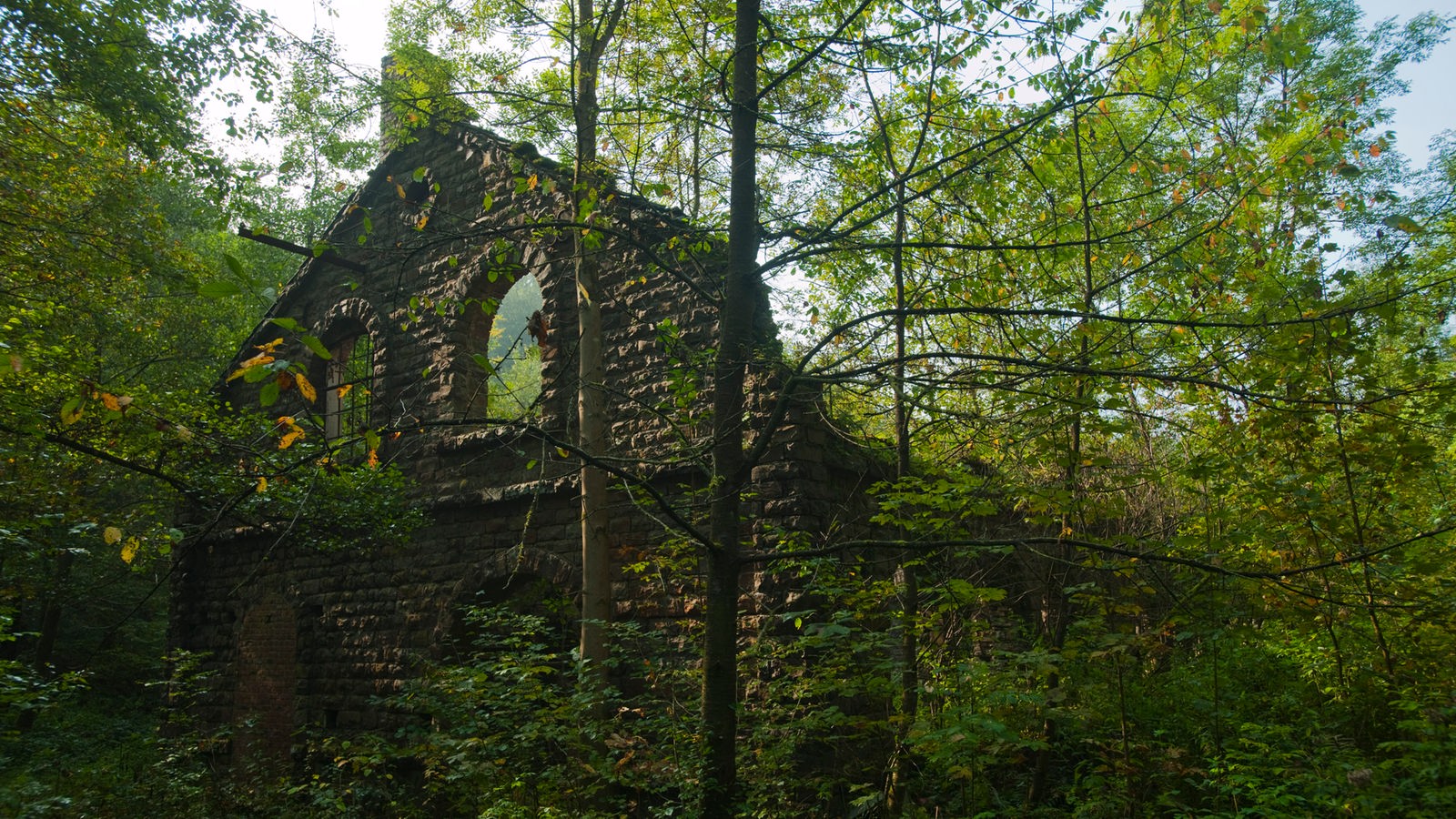 In einem Wald steht nur noch die Steinwand eines alten Hauses.