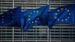 EU zastave ispred zgrade Evropskog parlamenta