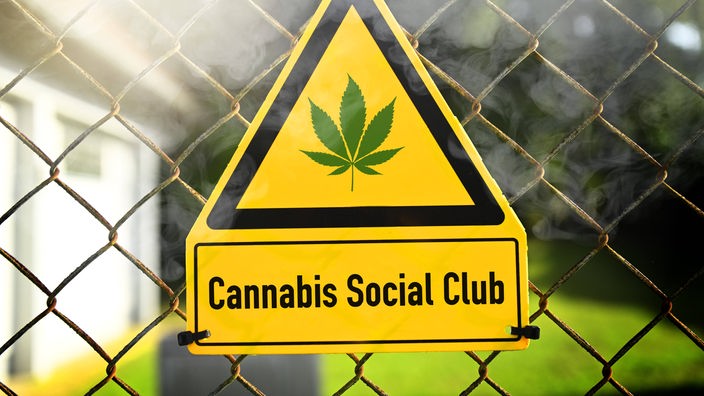 Na žičanoj ogradi žuti trouglasti znak sa slikom lista marihuane i natpisom "Cannabis Social Club"