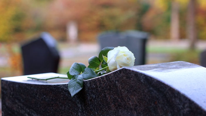 Ruža položena na grob