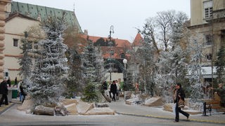 Borovi i jelke u centru Zagreba s umjetnim snijegom