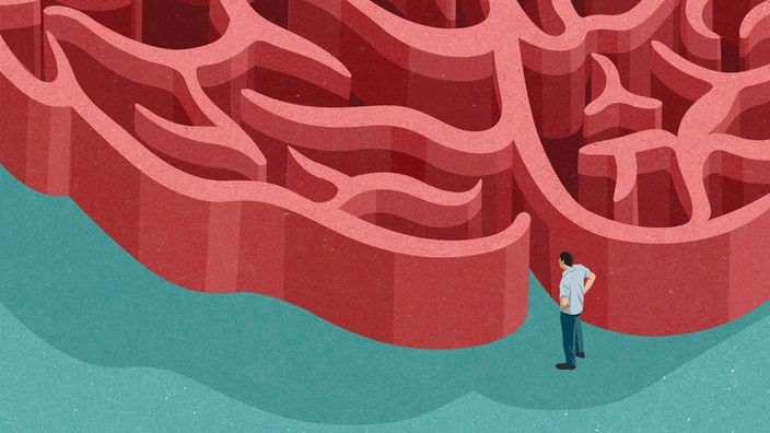 Illustration: Eine Person blickt durch ein Labyrinth in Form eines Gehirns.
