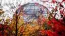 Reichstagskuppel im Herbst mit buntem Laub